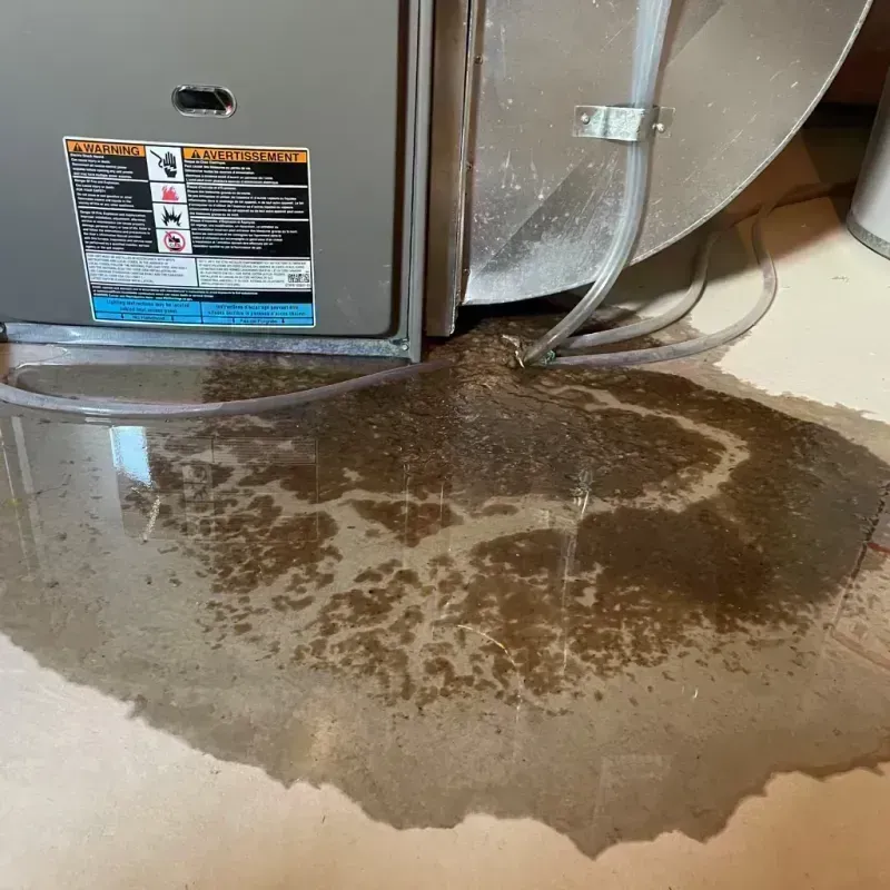 Appliance Leak Cleanup in Pekin, IL